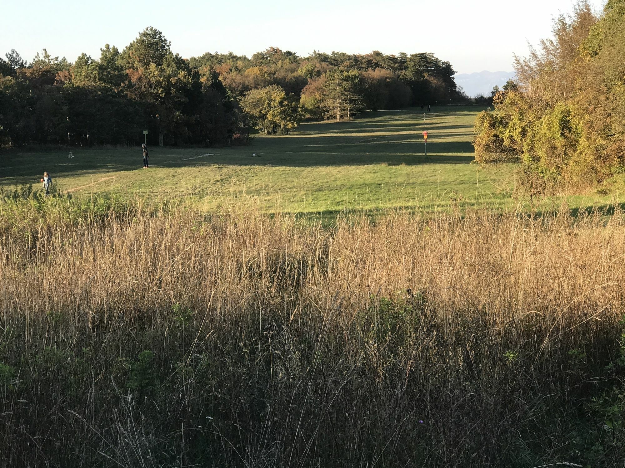 Padriciano Suite Buitenkant foto